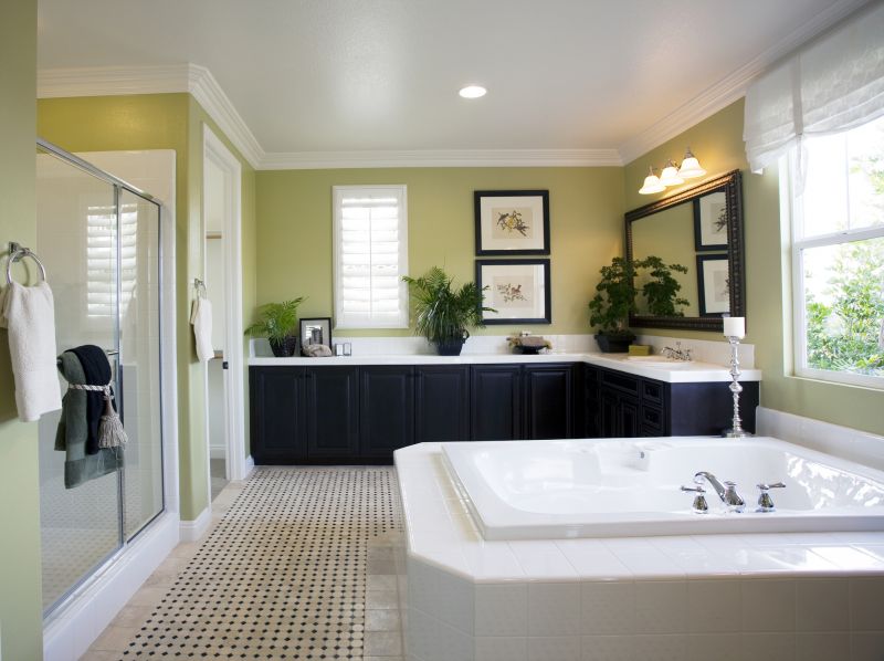 Master Bathroom Redesign